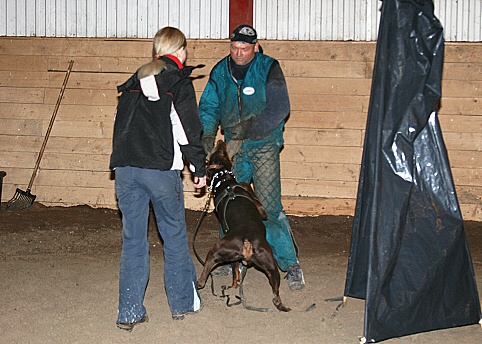 Training in Estonia 3/2007